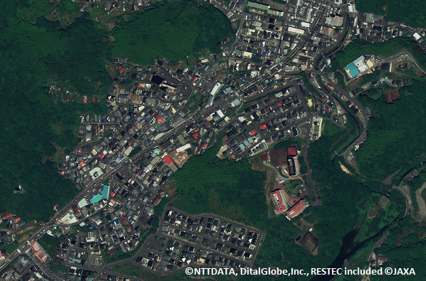 30cm resolution ortho imagery(Nagasaki)