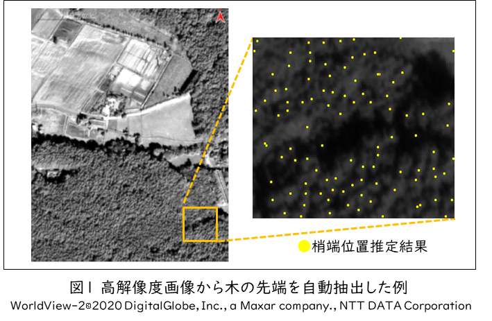 図1 高解像画像から木の先端を自動抽出した例