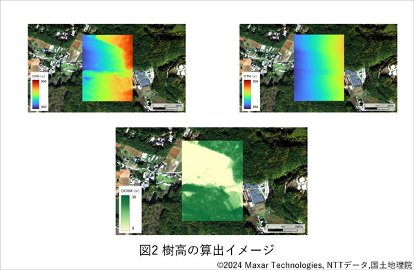 図2 樹高の算出イメージ